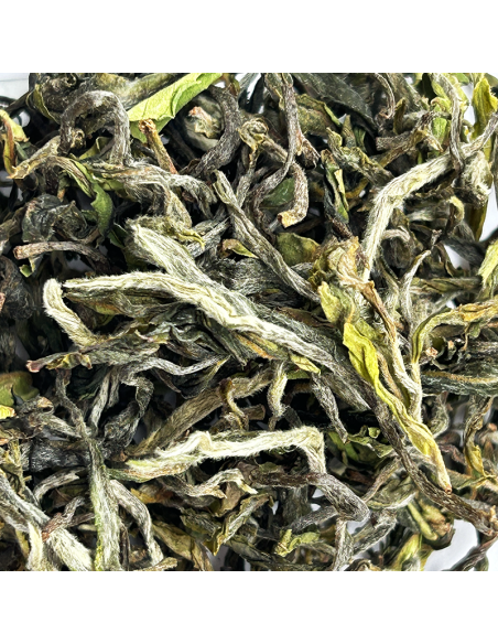 MIST VALLEY FIRST FLUSH '26 CERTIFIÉ BIO