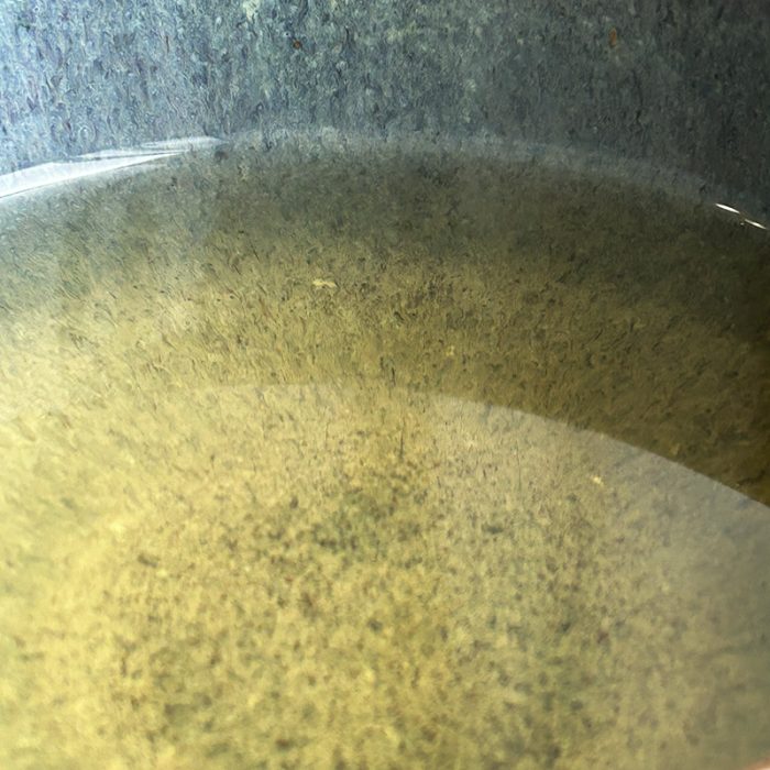 MIST VALLEY FIRST FLUSH '26 CERTIFIÉ BIO