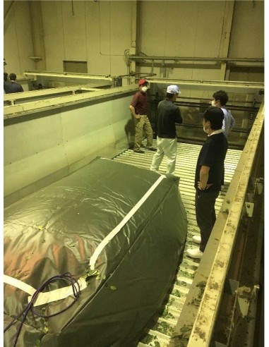 SENCHA GABALONG CERTIFIÉ BIO