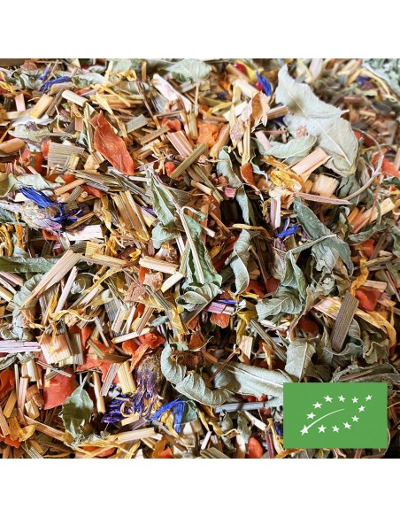 TISANE CITRON GINGEMBRE CERTIFIÉ BIO