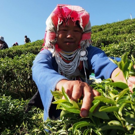 CHING CHING OOLONG