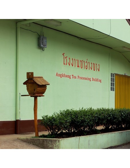 PROJET ROYAL VERT RUAN ZHI 2025