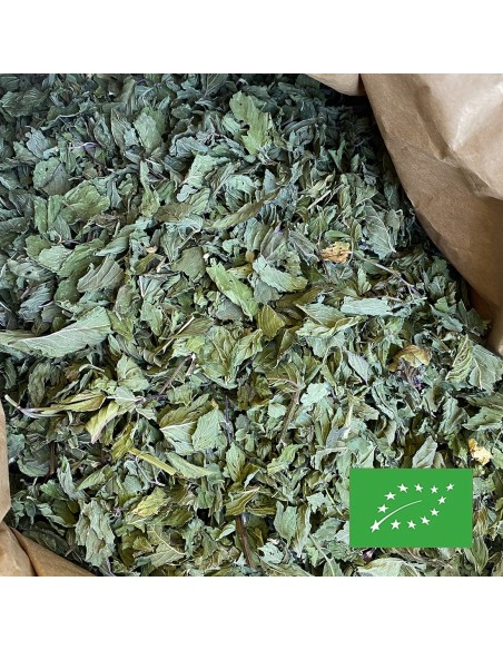 MENTHE POIVRÉE D'AUVERGNE CERTIFIÉ BIO