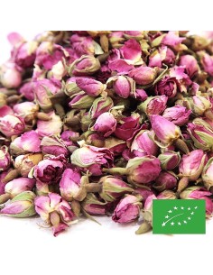 BOUTONS DE ROSE CERTIFIÉ BIO