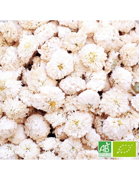 CAMOMILLE ROMAINE CERTIFIÉ BIO