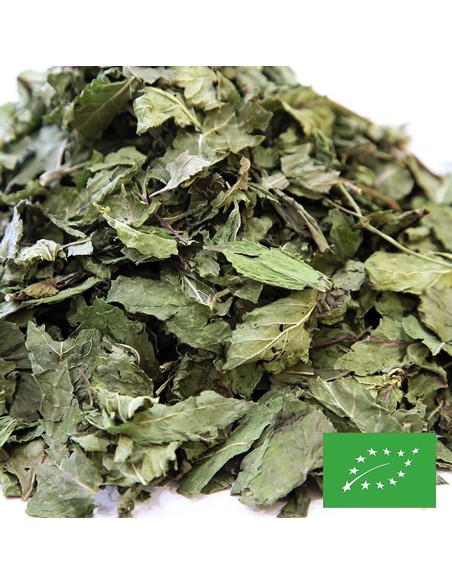 MENTHE VERTE D'AUVERGNE CERTIFIÉ BIO