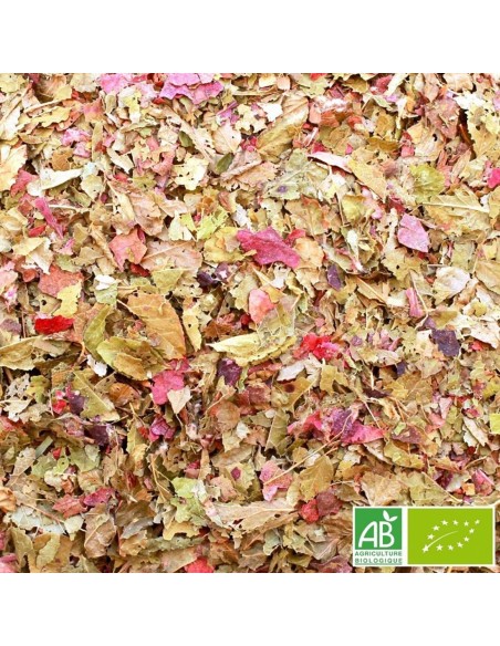 MOUVEMENT - TISANE D'AUVERGNE CERTIFIÉ BIO