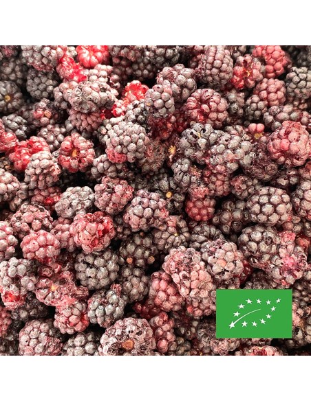 MÛRES CERTIFIÉ BIO