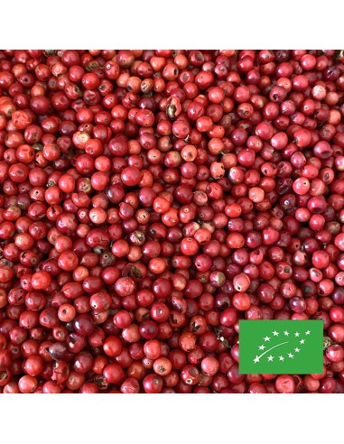 RED PEPPER ORGANIC CERTIFIED RED PEPPER ORGANIC CERTIFIED