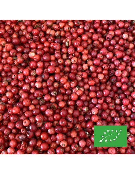 RED PEPPER ORGANIC CERTIFIED