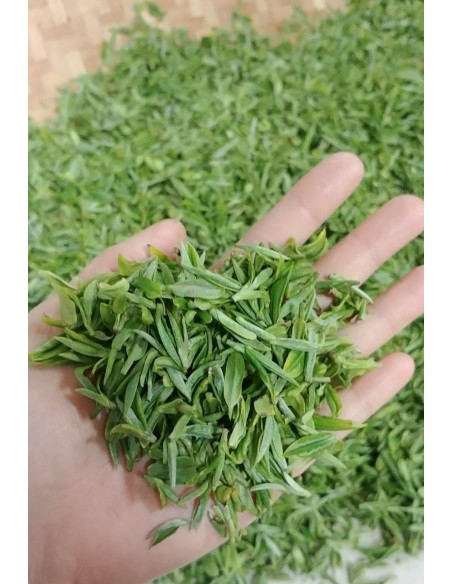 JUKRO WOORICHA BLACK TEA