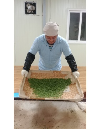 JUKRO WOORICHA BLACK TEA JUKRO WOORICHA BLACK TEA
