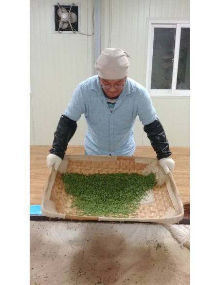 JUKRO WOORICHA BLACK TEA