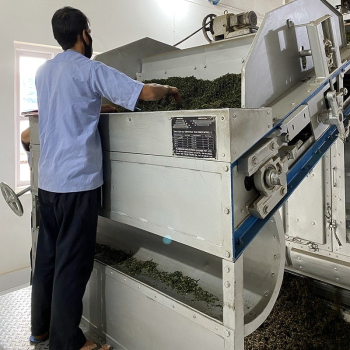 MIST VALLEY FIRST FLUSH '25 ORGANIC CERTIFIED