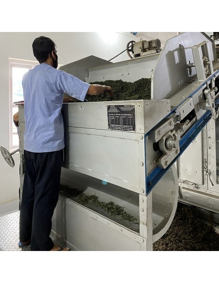 MIST VALLEY FIRST FLUSH '25 CERTIFIÉ BIO