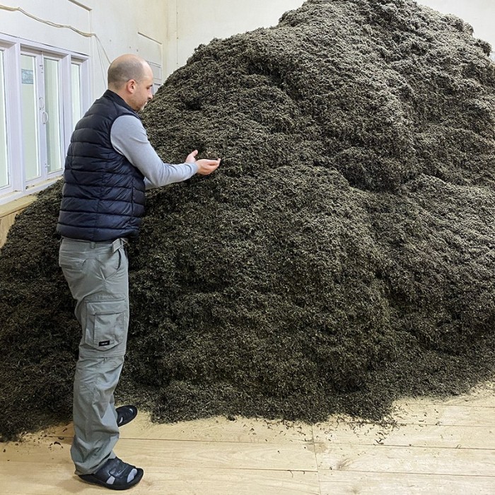 MIST VALLEY FIRST FLUSH '25 CERTIFIÉ BIO