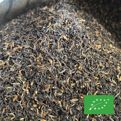ASSAM SATRUPA SFTGFOP1 (CL) OR.146 CERTIFIÉ BIO 2