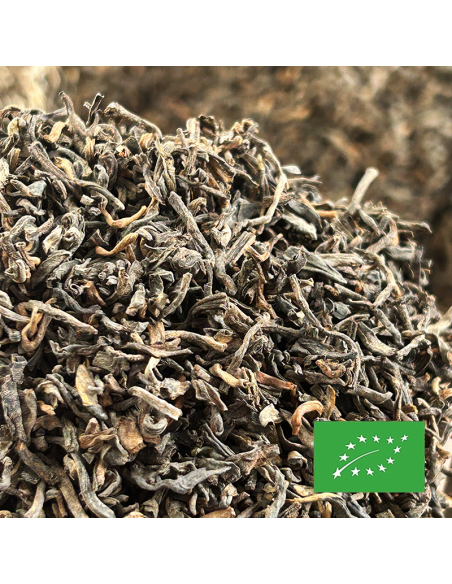 PUER SHU CERTIFIÉ BIO