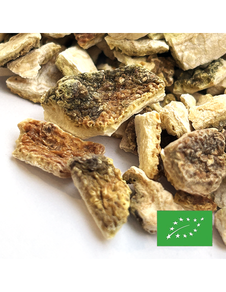 ÉCORCES DE CITRON CERTIFIÉ BIO