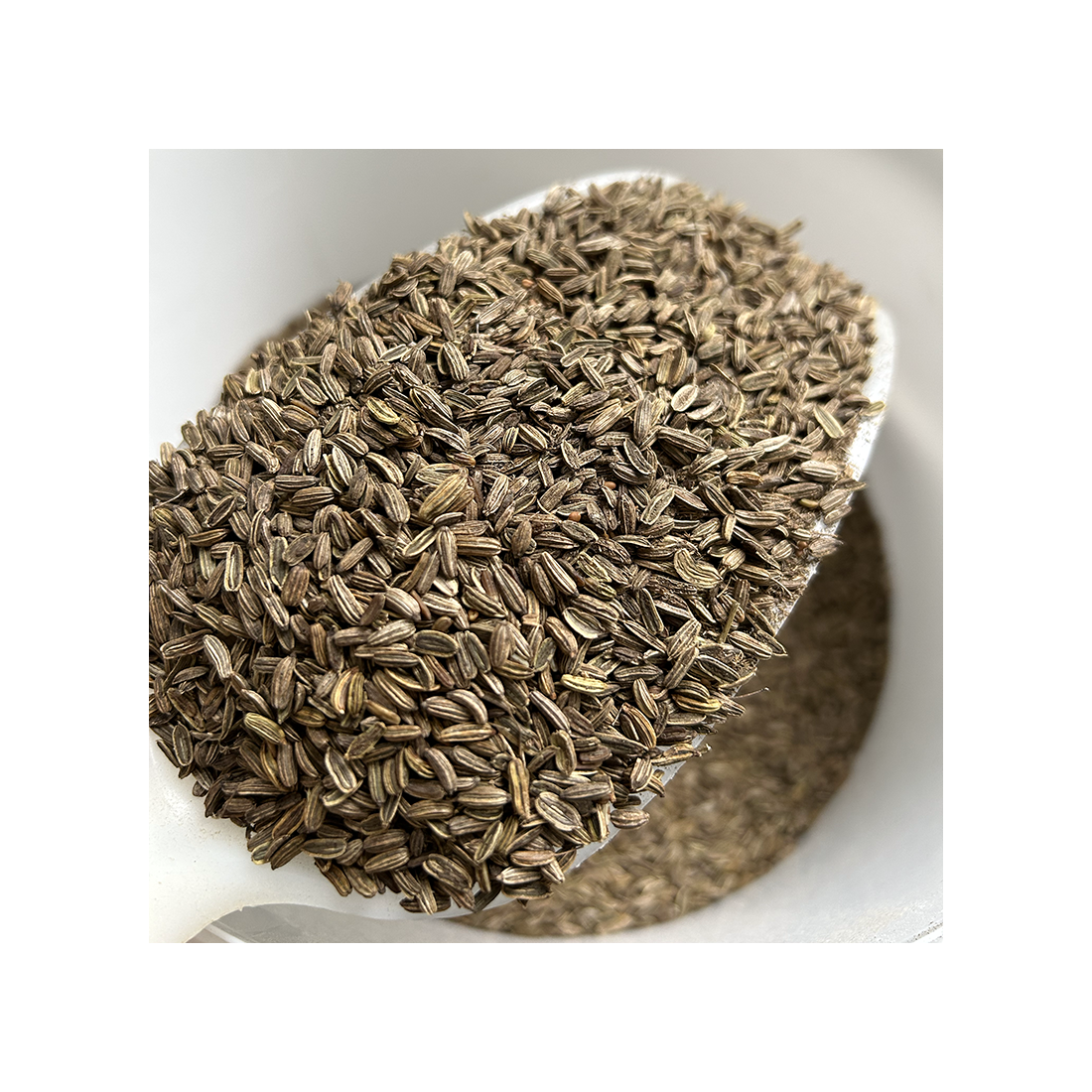 Graine de Fenouil - Compléments Alimentaires Bio/Digestion - sante-bio