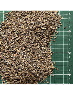 GRAINES DE FENOUIL CERTIFIÉ BIO 2