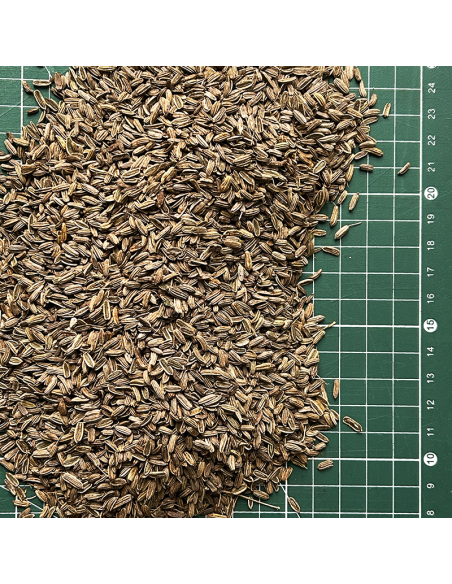 FENNEL SEEDS ORGANIC CERTIFIED