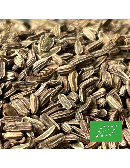 GRAINES DE FENOUIL CERTIFIÉ BIO