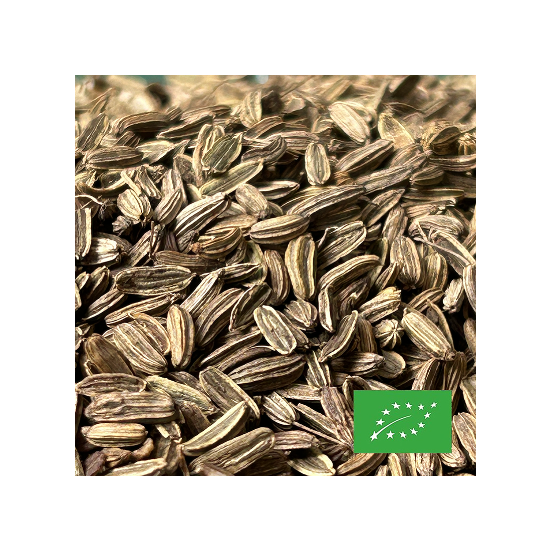 FENOUIL Vert Graines ( Inde ) –