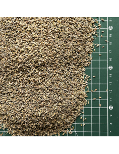 GRAINES D'ANIS CERTIFIÉ BIO 2