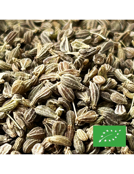 GRAINES D'ANIS CERTIFIÉ BIO