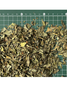 BASIL LEAF ORGANIC CERTIFIED 2