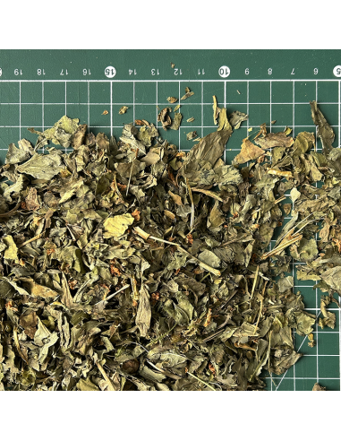 BASILIC FEUILLE CERTIFIÉ BIO