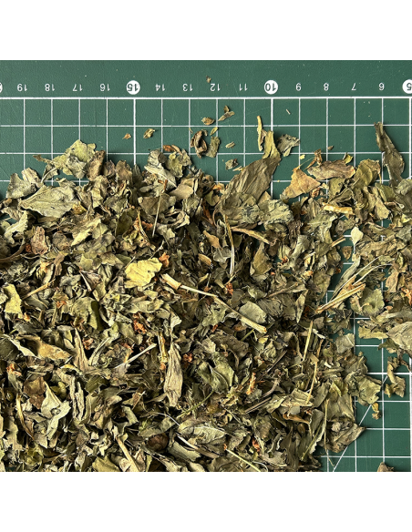 BASILIC FEUILLE CERTIFIÉ BIO