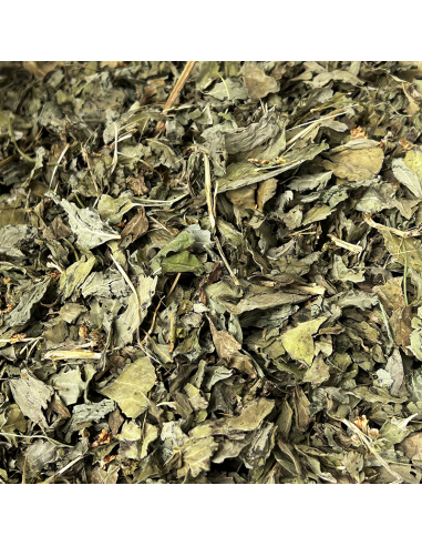 BASILIC FEUILLE CERTIFIÉ BIO