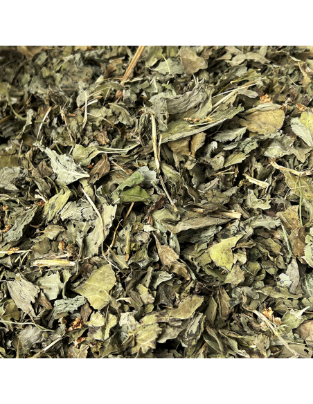 BASIL LEAF ORGANIC CERTIFIED