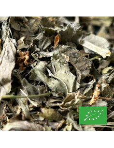 BASILIC FEUILLE CERTIFIÉ BIO