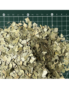 EUCALYPTUS FEUILLE CERTIFIÉ BIO 2