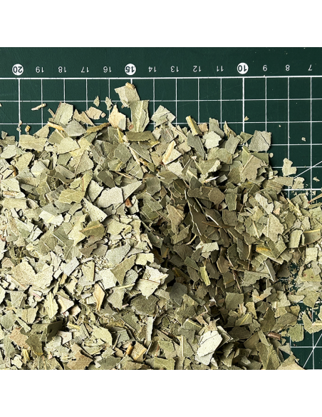 EUCALYPTUS LEAF ORGANIC CERTIFIED