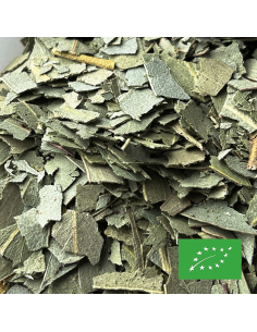 EUCALYPTUS FEUILLE CERTIFIÉ BIO