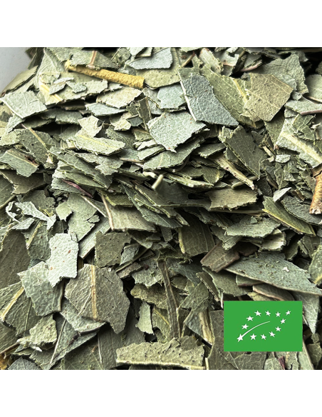 EUCALYPTUS LEAF ORGANIC CERTIFIED