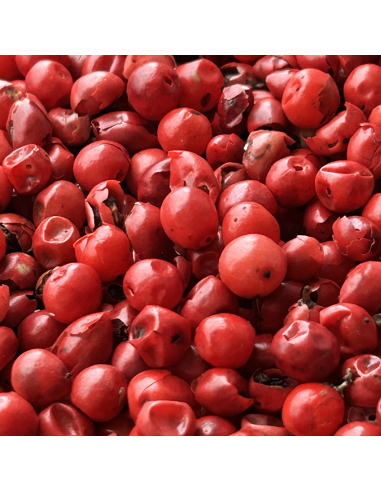 RED PEPPER ORGANIC CERTIFIED RED PEPPER ORGANIC CERTIFIED