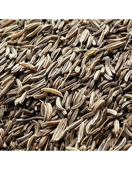 CARVI SEEDS ORGANIC CERTIFIED