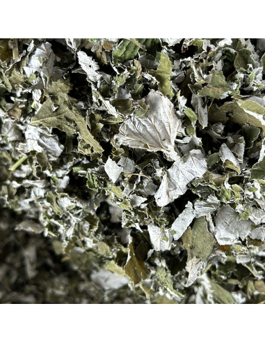 RASPBERRY LEAVES ORGANIC CERTIFIED RASPBERRY LEAVES ORGANIC CERTIFIED