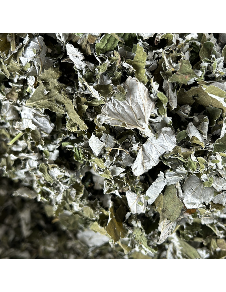 FRAMBOISIER FEUILLE (FOLIOLE) CERTIFIÉ BIO