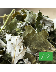 FRAMBOISIER FEUILLE (FOLIOLE) CERTIFIÉ BIO