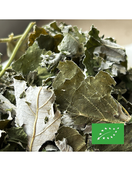 FRAMBOISIER FEUILLE (FOLIOLE) CERTIFIÉ BIO