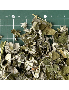 FRAMBOISIER FEUILLE (FOLIOLE) CERTIFIÉ BIO 2