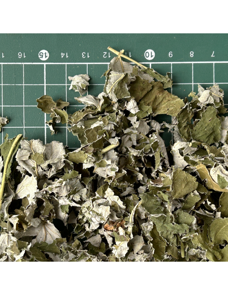 RASPBERRY LEAVES ORGANIC CERTIFIED