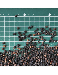 BLACK PEPPER ORGANIC CERTIFIED 2