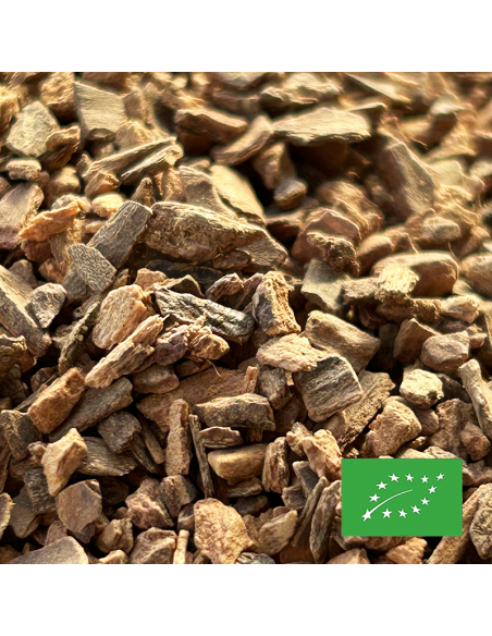 CANNELLE CASSIA CERTIFIÉ BIO